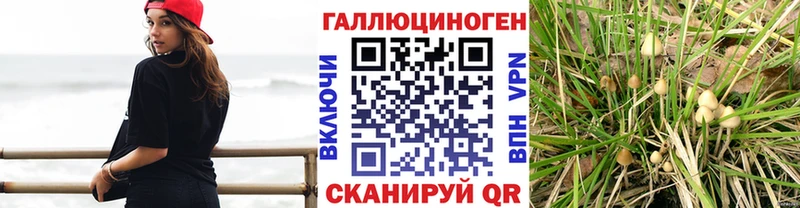 купить наркотики сайты  MEGA маркетплейс  Галлюциногенные грибы Magic Shrooms  Гороховец 